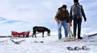 Atlı kızaklarla ulaştıkları gölde buzu kırıp balık avlıyorlar