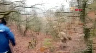 Çorum'da kayıp genç ve kayıp alzheimer hastası aranıyor