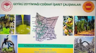 Geyikli zeytin yağı için coğrafi işaret süreci