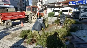 Atatürk Meydanı çiçek bahçesine dönüştü