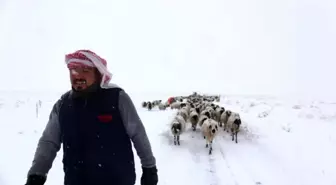 Gürpınar'da tipide mahsur kalan 2 çoban ve koyun sürüsü belediye ekipleri tarafından kurtarıldı