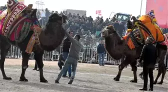 HAYTAP Temsilcisi Önder'den Başkan Aksoy'a 'deve güreşleri' tepkisi