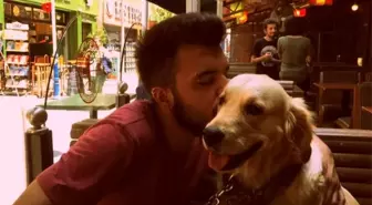 Eski sevgililerin 'paylaşılamayan köpek' davasında emsal karar verildi