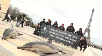 Eyfel kulesi önünde ölü yunus balıklarıyla 'aşırı avlanma' karşıtı protesto