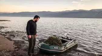 Sapanca Gölü'nde 'hayalet ağ' nedeniyle ördek ve balıkların telef olması