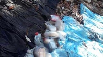 Amanoslarda 5 kilo TNT patlayıcı ve yaşam malzemesi ele geçirildi