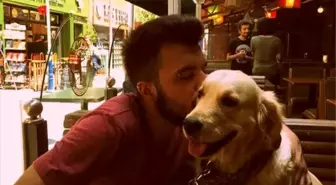 Eski Sevgililerin Paylaşılamayan Köpek Davası Sonuçlandı