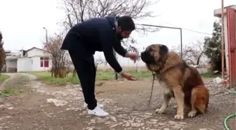 Evinin alt katında Osmanlı'dan miras kalan sanatı yaşatıyor