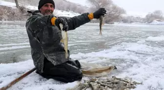 Murat Nehri'nin buz gibi suyunda ekmek mücadelesi