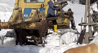 Yaylada kardan mahsur kalan besicilerin yolu yeniden açıldı