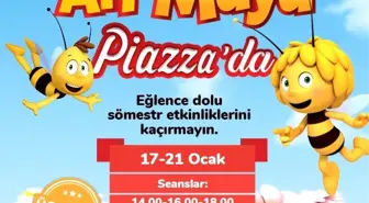 Arı Maya, sömestr tatilinde Piazza'da