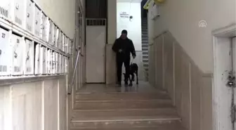 Bakan Pakdemirli'nin sahip çıktığı köpek 'Bobo' tedavisi için İstanbul'a gönderildi (2)