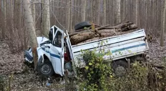 Yoldan çıkan kamyonet ağaca çarptı: 1 ölü, 2 yaralı