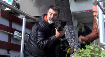 Bakan pakdemirli'nin sahip çıktığı köpek 'bobo' katarakt ameliyatı oldu