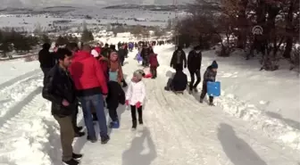 Kızak festivali renkli görüntülere sahne oldu