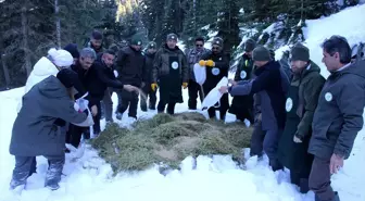 Ilgaz Dağı'nda yaban hayvanları için yemleme yapıldı