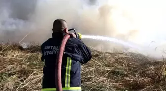 Antalya'da sazlık yangını (3)