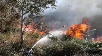 Antalya'da sazlık yangınında bazı evler tedbir amaçlı tahliye edildi