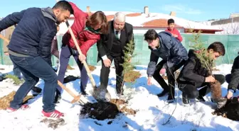 Fidanlar 'Toprak Dede' anısına dikildi