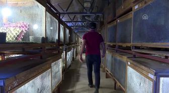Hamam böceğinin tanesi 10 liradan alıcı buluyor