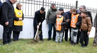 Sinop'ta 'Toprak Dede' anısına fidan dikildi