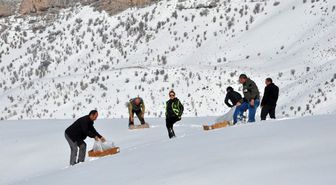 Şırnak'ta yaban hayvanları için doğaya yem bırakıldı