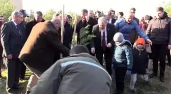 'Toprak Dede'nin hatırası, adına dikilen fidanlarda yaşayacak