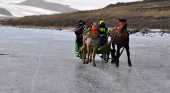 Ardahan'da gölde atlı kızak keyfi