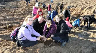 Çanakkale'de 'Toprak Dede' için 100 fidan dikildi