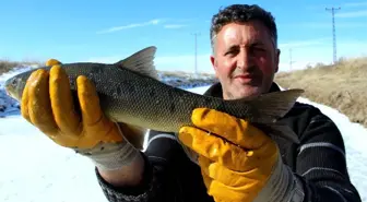 Soğuk kış günlerinin vazgeçilmez aktivitesi: Eskimo usulü balık avı