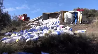 Çanakkale devrilen yem kamyonunun şoförü yaralandı