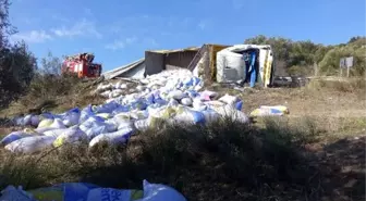 Devrilen yem kamyonunun şoförü yaralandı