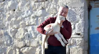 Tarım ve Orman Müdürü Şahin Uzunyayla'da çiftçilerle buluştu