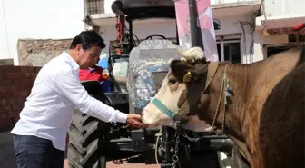 Bodrum'da alım garantili üretim için ilk adım atıldı