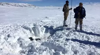 Mersin'de 37 gün önce yaylada kaybolan kişinin cesedi bulundu