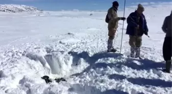 Yaylada kaybolan kişinin cesedi 37 gün sonra bulundu