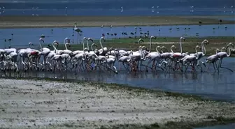 'Acıgöl' kendine hayran bırakıyor