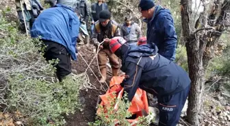 Kaybolan keçilerini ararken uçurumdan düşerek öldü