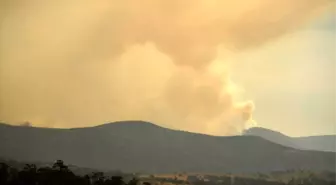 Avustralya'nın başkenti Canberra'da acil durum