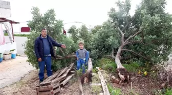 Mersin'de fırtına yıktı geçti