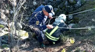 Muğla'da kuyuya düşen kuzuyu itfaiye ekipleri kurtardı