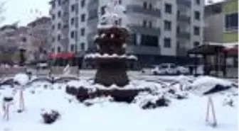 Iğdır'da göç etmeyen leylekler kar altında kaldı