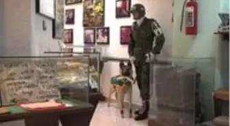 Meksika'da kartellerle mücadelede 'bilgilendirici' bir yöntem: 'Uyuşturucu Müzesi'