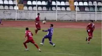 TFF 3. Lig: Tokatspor: 1 - Artvin Hopaspor: 3