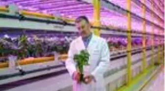 Türkiye'nin ilk bitki fabrikası