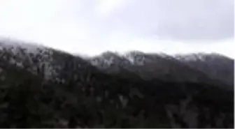 YPG/PKK'nın sözde Amanos yapılanması terörist ifadesinde