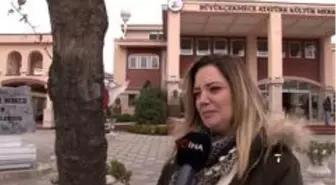 (Özel) Çınar ağaçları kanser bulaşma riskine karşı budanamıyor