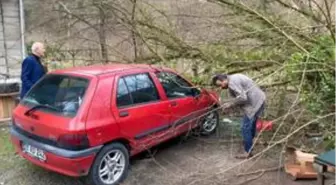 Giresun'da heyelan sonucu kaya parçaları yolu kapattı