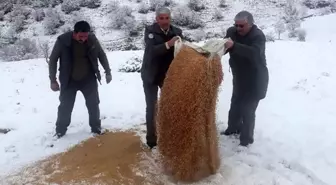 Kırıkkale'de hayvanlar aç kalmasın diye doğaya yem bırakıldı