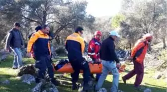 Muğla'da kayalıktan düşerek yaralanan doğa yürüyüşçüsü kurtarıldı